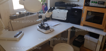 Künstlich mit Wa02.png